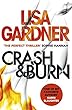 Crash & Burn (English Edition)