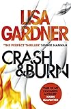 Crash & Burn (English Edition)