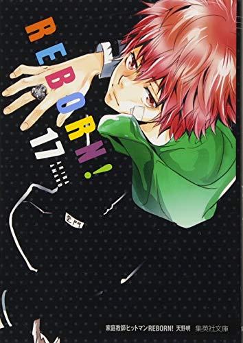 『家庭教師ヒットマンREBORN!』17巻