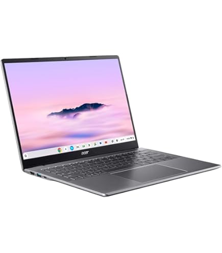 Lenovo 14e Chromebook Gen 3 82W60001US 14