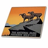 3dRose ct_171294_4 The National Parks Preserve Wild Life with Two Longhorn Sheep Ceramic Tile, 12" [