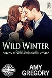 Wild Winter: A Wild Irish Novella (Wild Irish Universe Book 3) (English Edition)