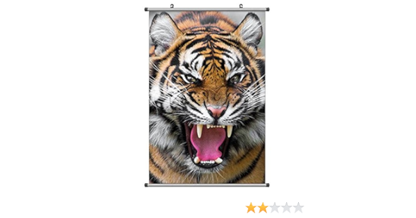 Amazon Co Jp 凶暴な虎 動物の写真ポスター掛け軸 70cmx105cm ホーム キッチン Amazon Co Jp 凶暴な虎 動物の写真ポスター掛け軸 70cmx105cm ホーム キッチン
