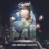 45TH ANNIVERSARY COLLECTION (輸入盤)