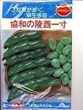陵西一寸 みかど協和の一寸そら豆種です