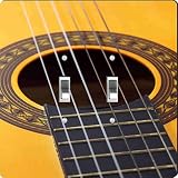 Rikki Knight Guitar Design Double Toggle Light Switch Plate [並行輸入品]