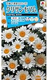 タキイ種苗 クリサンセマムパルドサムホワイト