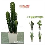 人工観葉植物 光触媒加工観葉植物 造花　ＨＧｈｇａｓｕｋａー55ｃｍｇｈ