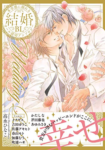 『結婚BL』