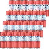 Sanpellegrino (サンペレグリノ) エッセンザ ブラッドオレンジ & ブラック ラズベリー 330ml ×24本 (フレーバー炭酸水 カロリーゼロ 砂糖不使用 繊細な炭酸感)