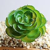 エレガントで美しい造花 生きているような多肉植物 ミニチュア植物 ホームフローラルデコレーション テーブルデコレーション PHO_00ZGRYG2
