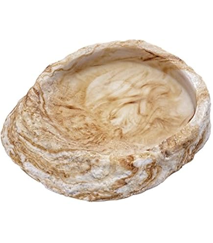 Amazon.co.jp: EXO TERRA (エキゾテラ) フィーディングディッシュS