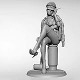 1/24 ナチス将校の軍服を着たセクシー美女 WW2 SS 親衛隊 兵士 ソルジャー 未塗装 レジン製 組み立て キット フィギュア ガレージキット