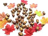 フェイクどんぐり 50個セット 合成樹脂製 オマケ(フェイクもみじ)付き