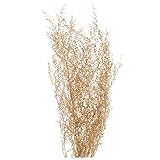 大地農園 プリザーブドフラワー シャワーグラス(25g入り) DO001090-902