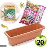 収穫まで20日 「白雪姫20日大根」栽培セット 種・土・鉢底石・プランターの4点セット 家庭菜園