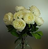 エイトは、人工クリームシャクヤクの茎