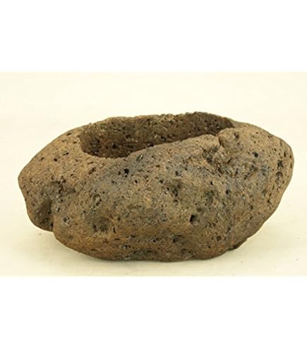 【海からの贈り物】軽石(特大) 51zxp-zShgL._UF350,350_QL80_.jpg