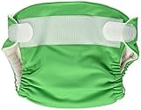 Imagine Baby Products Newborn Stay Dry All-In-One Hook and Loop Cloth Diaper, Emerald by Imagine Bab