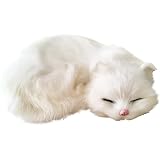 Amazon Co Jp ぬいぐるみ 猫 本物そっくり 景品 リアル 再現 寝そべり ネコちゃん ペット 置物 部屋飾り インテリア ネコの置物 癒し かわいい 心地よい 肌触り やわらかい 毛並み 部屋飾り 猫好き 病院 施設 独り暮らし 暖かい 雰囲気 お見舞い ファー 仕上がり