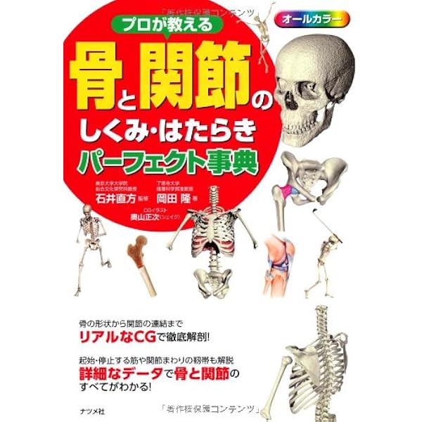 プロが教える骨と関節のしくみ はたらきパーフェクト事典 岡田 隆 石井直方 本 通販 Amazon