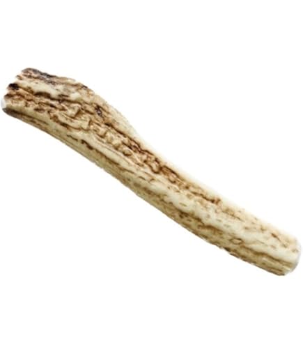 Amazon | 鹿の角 蝦夷鹿 根元 10コ 犬のおもちゃ ハンドメイド用