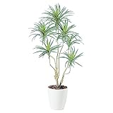 プラス　記載台　AKシリーズ　人工樹木　コンシナトリコロル　NO129J