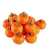Eboxer　ハロウィン　カボチャ　１６個入　飾り物　小型　軽量　キッチン　置き物　可愛い　本物そっくり　知育玩具　おもちゃ