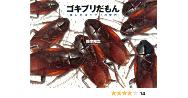 ゴキブリだもん 美しきゴキブリの世界 一般書籍 鈴木知之 写真 Kindleストア Amazon