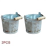 Wholehot フラワーポット　2個入り　鉄の芸術　アイアンバケツ　造花入れ　花瓶　雑貨収納バケツ　多肉植物ポット　ハンドル付き　長持ち　ガーデニング用品　リビングルーム/卓上インテリア雑貨　(木の