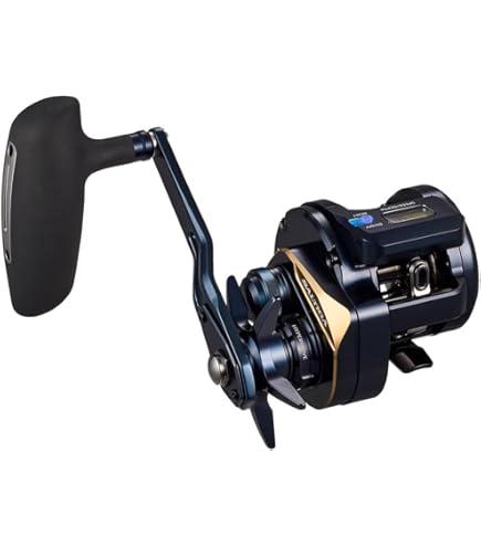 Amazon | ダイワ(DAIWA) ベイトリール ジギング/スロージギング 22