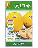 大和農園 アスコット [メロン] 100粒