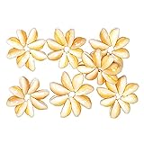 東京堂 ドライフラワー  タカラシェルリング (8コ入り) FD005608