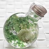 ハーバリウム　丸ボトル (ライムグリーン)