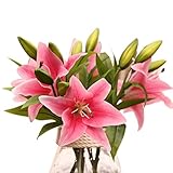 人工花、neartime 3 HeadsシルクLilies Bouquet 2017ホットセール free size レッド Neartime_1769