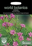 【輸入種子】 Johnsons Seeds World Botanics Collection Ipomoea quamoclit Rose アイポミア（るこう草）・クアモクリト・ペンナータ・ローズ 