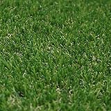 ロール人工芝（芝丈30mm）幅1m×長さ10m SST-FME-3010(SST)