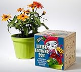 Children Flower Pot Comes with Organic Flower Seeds [並行輸入品]