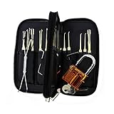 ブルーチューブラッキーピッキングセット (2)