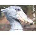 ハシビロコウ