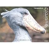 ハシビロコウ
