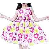 Ruideng 女の子の夏の新しいドレスプリンセスドレスノースリーブシフォンパーティードレスワンピースのスカートのドレスの公演発表会 結婚式 入園式 演奏会 (120cm) (130cm, C)