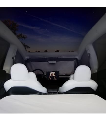 Amazon | Havnby キャンプマットレス TeslaモデルY/X CertiPUR用 低