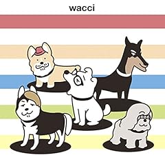 ��x�ڂ̏o� / wacci