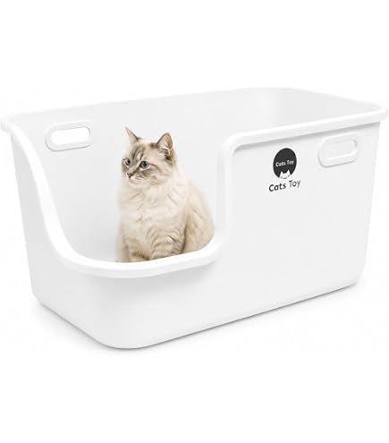 Amazon.co.jp: Modkat(モデキャット) リタートレイ グレー : 文房具
