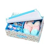 yougheny 収納ケース 収納ボックス 15仕切り 衣類・肌着・下着・小物・靴下整理ケース 可愛い 便利 コンパクト ファスナー仕様 青薔薇