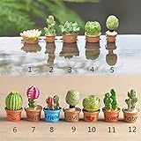 ミニ 花 の 木 ミニチュア 植物 ガーデン 装飾 妖精 ホーム 住宅 装飾 工芸品 DIY アクセサリー