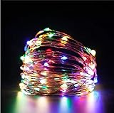 イルミネーションライト Araretyan クリスマス 飾りライト ストリングライト LED 10m ワイヤーライト ストリングスライト 結婚式 パーティー (マルチカラー)