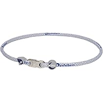 Amazon | ファイテン(phiten) ネックレス RAKUWA ネックX30