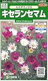 サカタのタネ 実咲花6270 キセランセマム ルミナミックス 10袋セット